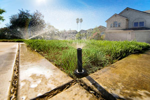 Irrigation design, Tampa, FL